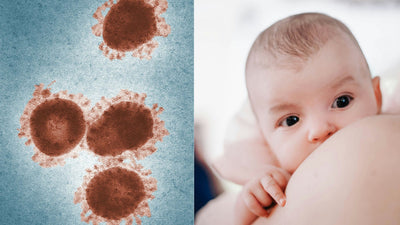 How is Breast Milk Antiviral?